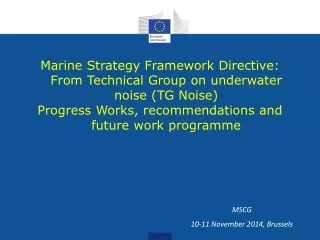 Marine Strategy Framework Directive: From Technical Group on underwater noise (TG Noise)