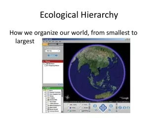 Ecological Hierarchy