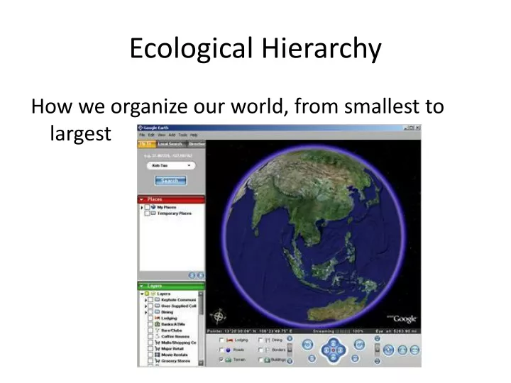 ecological hierarchy