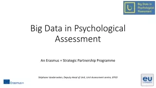 Big Data in Psychological Assessment