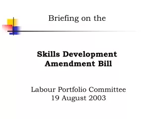 Briefing on the  Skills Development  Amendment Bill Labour Portfolio Committee 19 August 2003