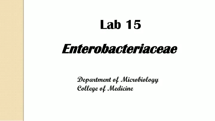 lab 15 enterobacteriaceae