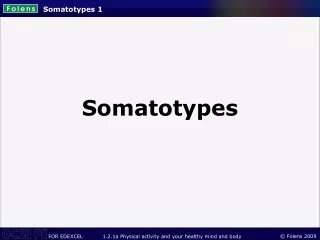 Somatotypes 1