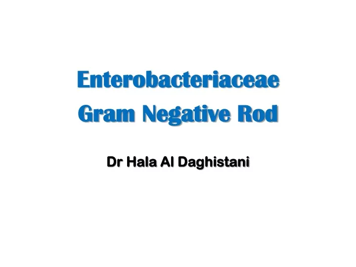 enterobacteriaceae gram negative rod dr hala
