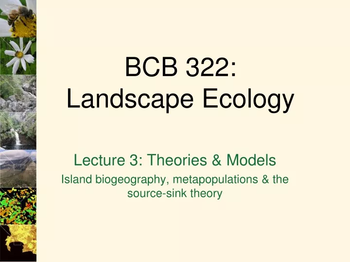 lecture 3 theories models island biogeography metapopulations the source sink theory