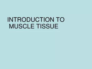 INTRODUCTION TO   MUSCLE TISSUE