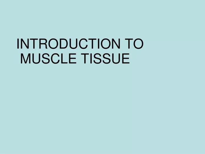 introduction to muscle tissue