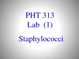 PHT 313 Lab  (1)