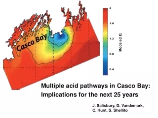 Multiple acid pathways in Casco Bay: Implications for the next 25 years