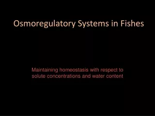 Osmoregulatory  Systems in Fishes