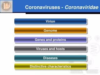 Coronaviruses -  Coronaviridae