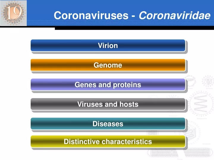 coronaviruses coronaviridae