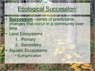 Ecological Succession :
