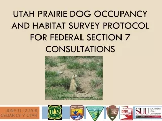 UTAH PRAIRIE DOG OCCUPANCY AND HABITAT SURVEY PROTOCOL FOR FEDERAL SECTION 7 CONSULTATIONS