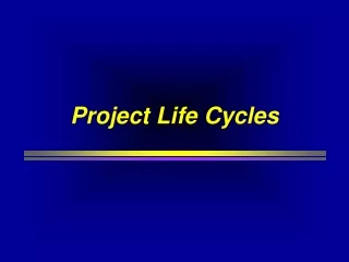 Project Life Cycles