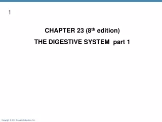 CHAPTER 23 (8 th  edition) THE DIGESTIVE SYSTEM  part 1