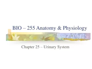 BIO – 255 Anatomy &amp; Physiology