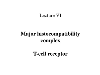 Lecture VI Major histocompatibility complex T-cell receptor