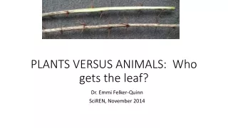 PLANTS VERSUS ANIMALS:  Who gets the leaf?