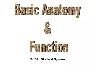 Unit 4:  Skeletal System