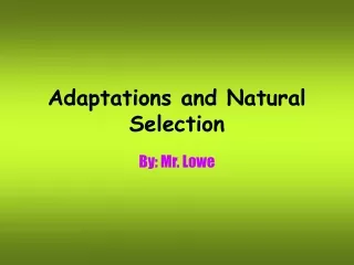 Adaptations and Natural Selection