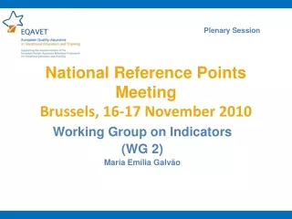 National Reference Points Meeting Brussels, 16-17 November 2010