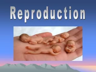 Reproduction