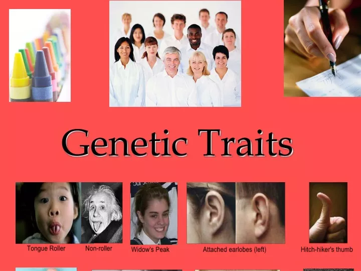 genetic traits