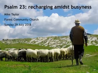 Psalm 23: recharging amidst busyness