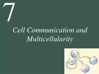 Cell Communication and Multicellularity