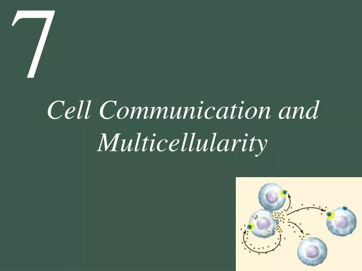cell communication and multicellularity