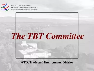 The TBT Committee