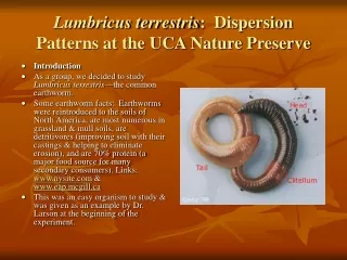 Lumbricus terrestris :  Dispersion Patterns at the UCA Nature Preserve