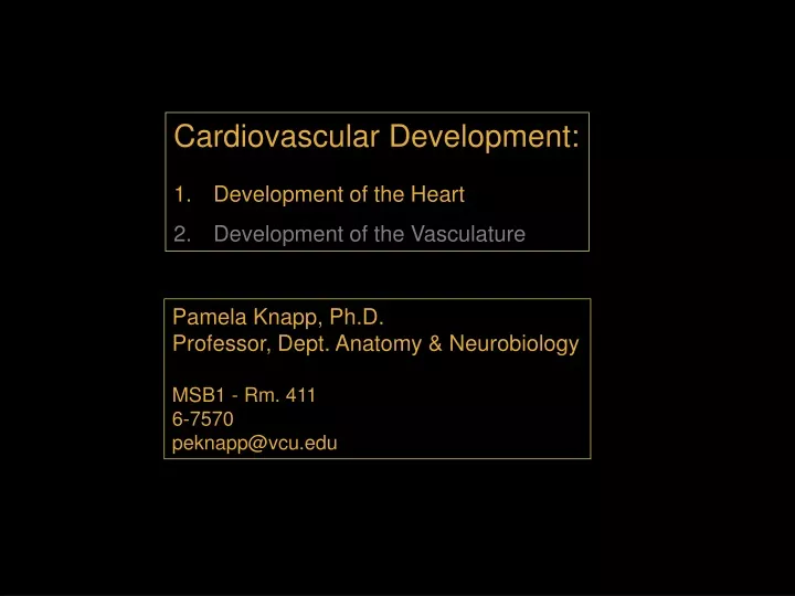 cardiovascular development development
