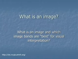 What is an image?