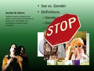 Gender &amp; Culture