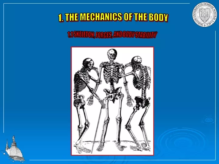 1 the mechanics of the body