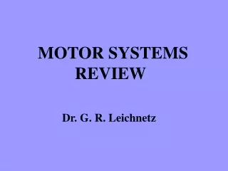 MOTOR SYSTEMS 				 REVIEW 		     Dr. G. R. Leichnetz