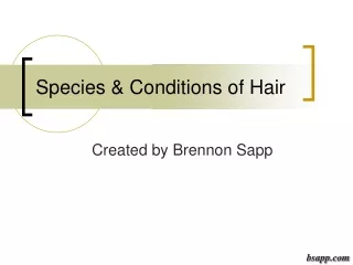 Species &amp; Conditions of Hair