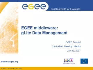 EGEE middleware: gLite Data Management