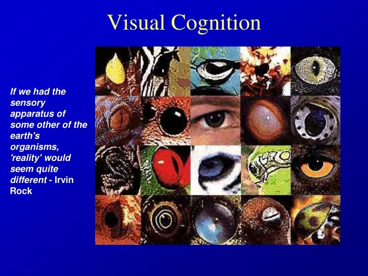 visual cognition