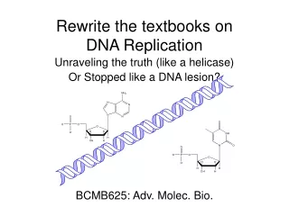 Rewrite the textbooks on  DNA Replication