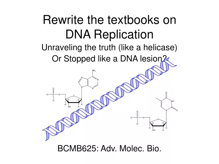 rewrite the textbooks on dna replication