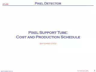 Pixel Support Tube: Cost and Production Schedule September 2002