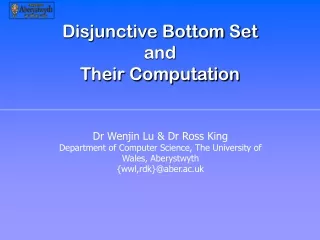 Disjunctive Bottom Set  and  Their Computation