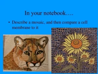 In your notebook….