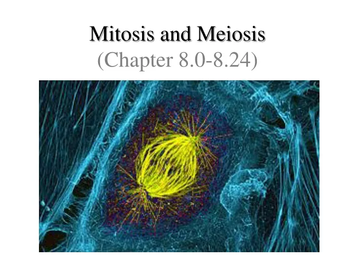 mitosis and meiosis chapter 8 0 8 24