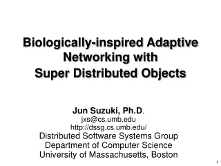 Biologically-inspired Adaptive  Networking with Super Distributed Objects
