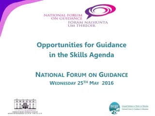 Opportunities for Guidance  i n  the Skills Agenda National Forum on Guidance