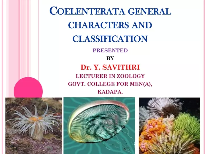 coelenterata general characters and classification